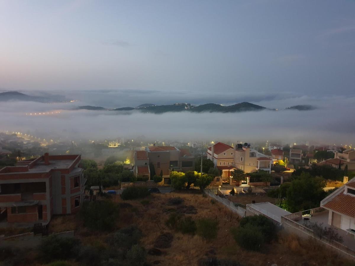 "Stergiou Luxury Apartments" Με Κοινη Πισινα Saronida Exteriör bild